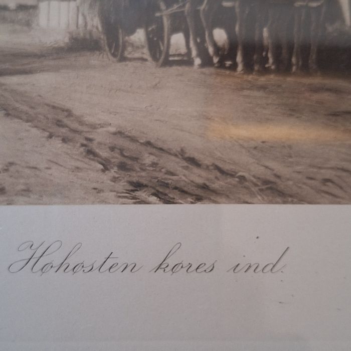 Obrazek przedstawiający gospodarza przy pracy