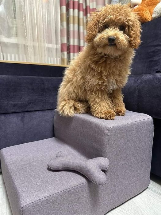 Сходинки для ліжка "Піксі"