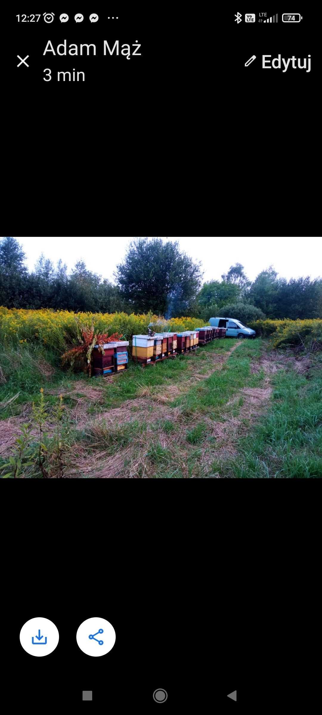 Sprzedam miód z własnej pasieki