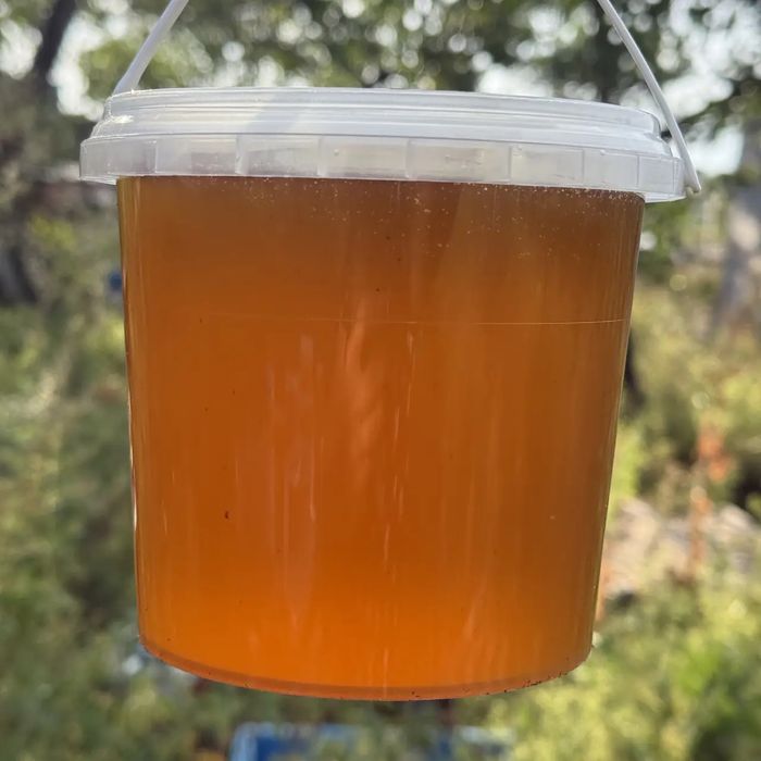 Продам мед ……………………….