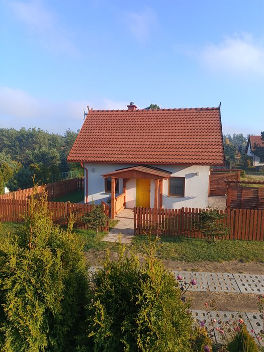 Domek z kominkiem Zieleń Lasy z Grzybami Yellow House Święta Ferie
