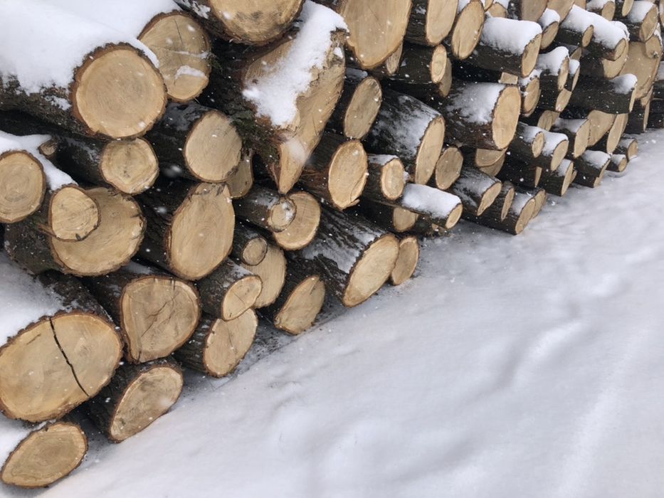 Drewno Kominkowe , opalowe . Buk , Dab , Grab ,Jesion , Brzoza ,Akacja