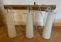 Lampa wisząca Italux Carole MDM-1668/3B
