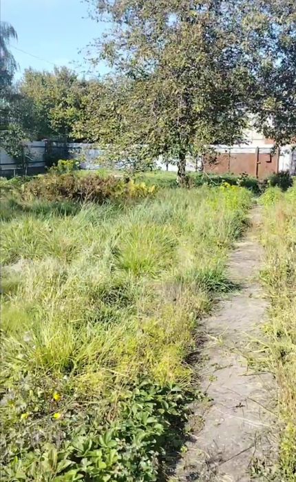 Будинок 10 соток в центрі 54м2 38000$