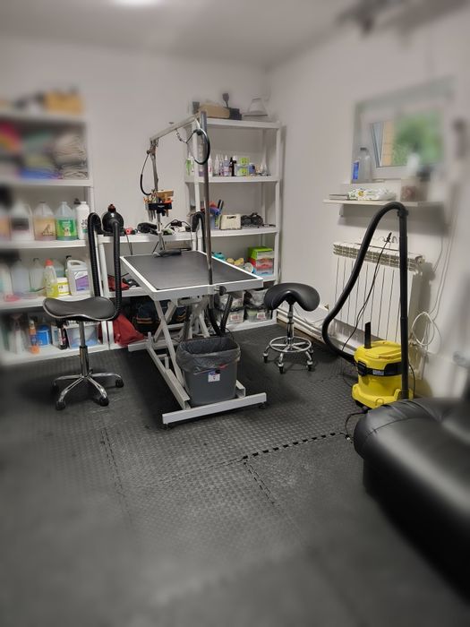 Стрижка собак,кошек,разных пород, не дорого,Борисполь  и область