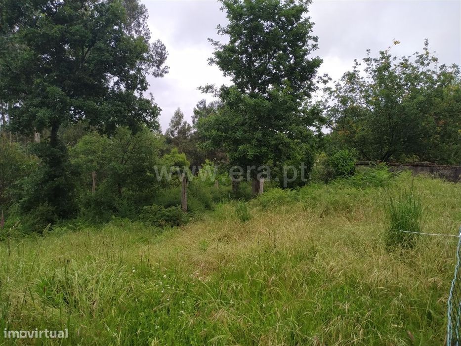 Terreno em Travassós