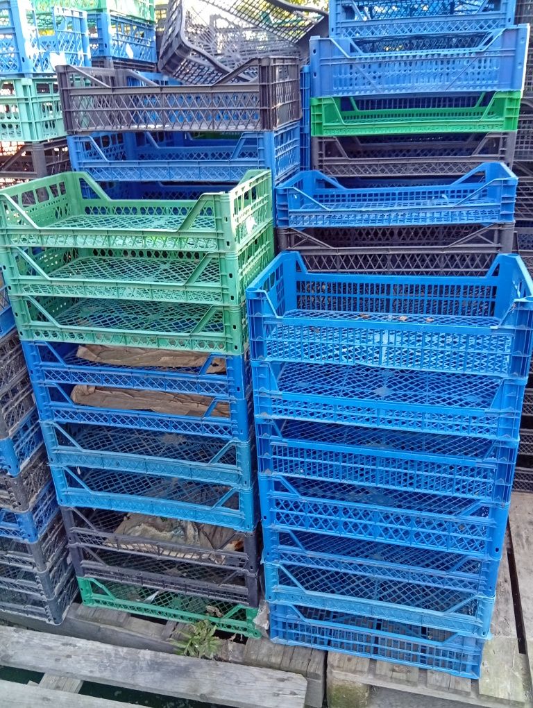 Ящики пластикові