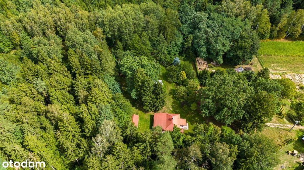 ***Leśniczówka Na Końcu Świata***Las*Podlasie