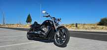 Harley-Davidson VRSCF VROD MUSCLE