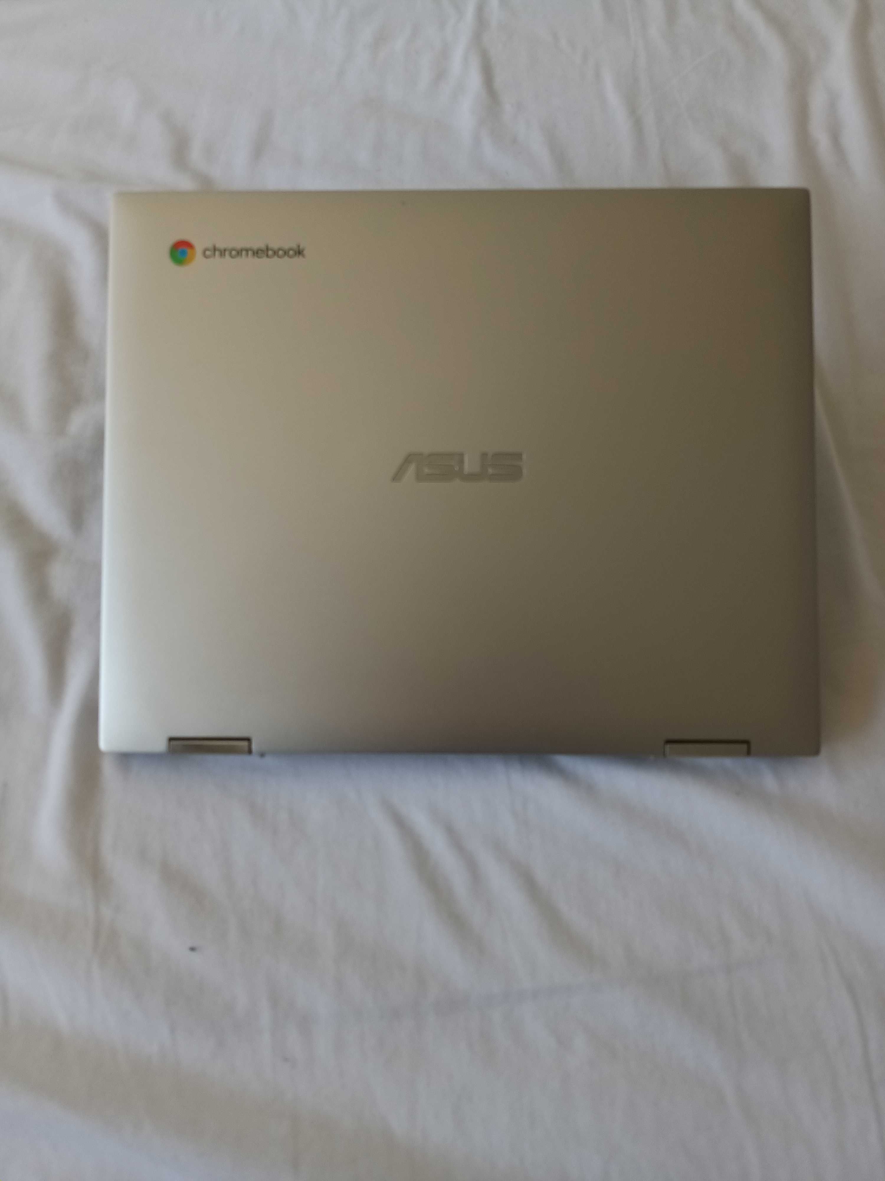 Asus Chromebook Flip (ASUS Chromebook Flip CM3 (CM3200))