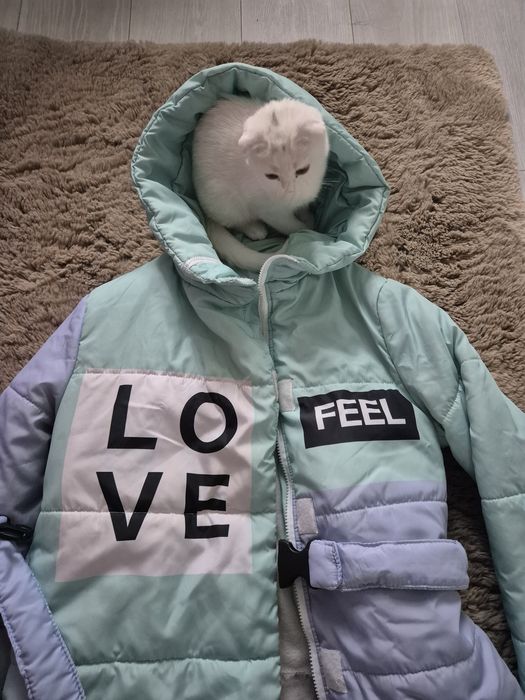Куртка зимова для дівчинки 152 кутрочка зима