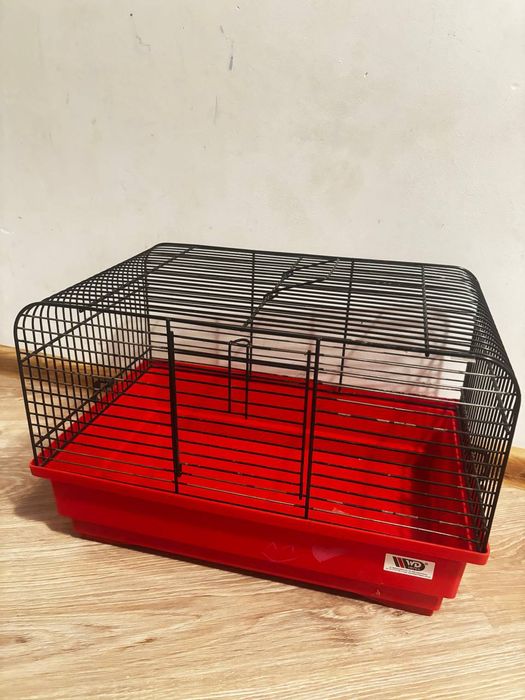 Sprzedam chomika syryjski  samiec