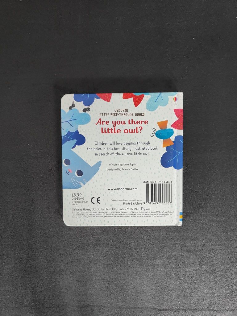 Książka angielska Are you there little owl Usborne