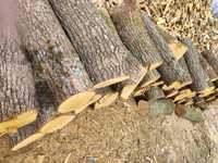 Купить дрова в Одессе без предоплаты и с быстрой доставкой