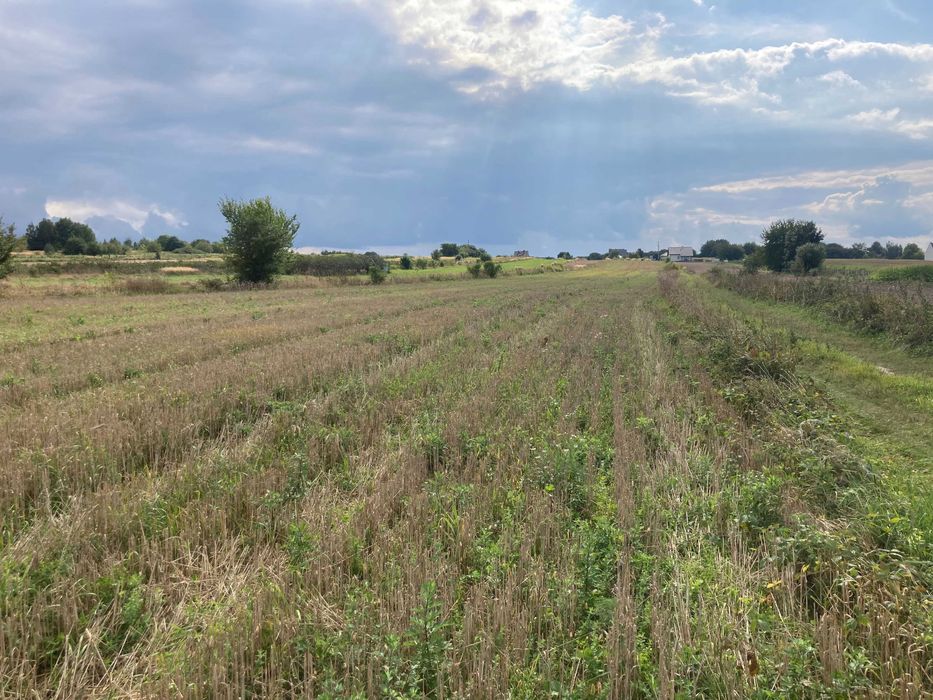 Działka budowlana Kraśnik 10 arów 129 900 zł