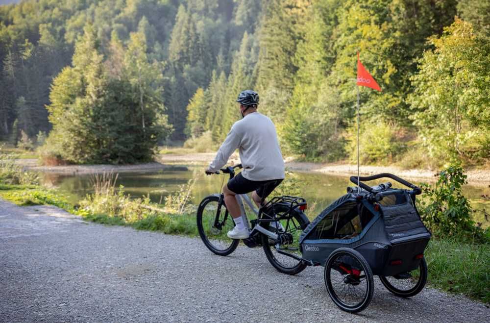 Qeridoo KidGoo 2 Ivy Green przyczepka rowerowa dla dwójki dzieci