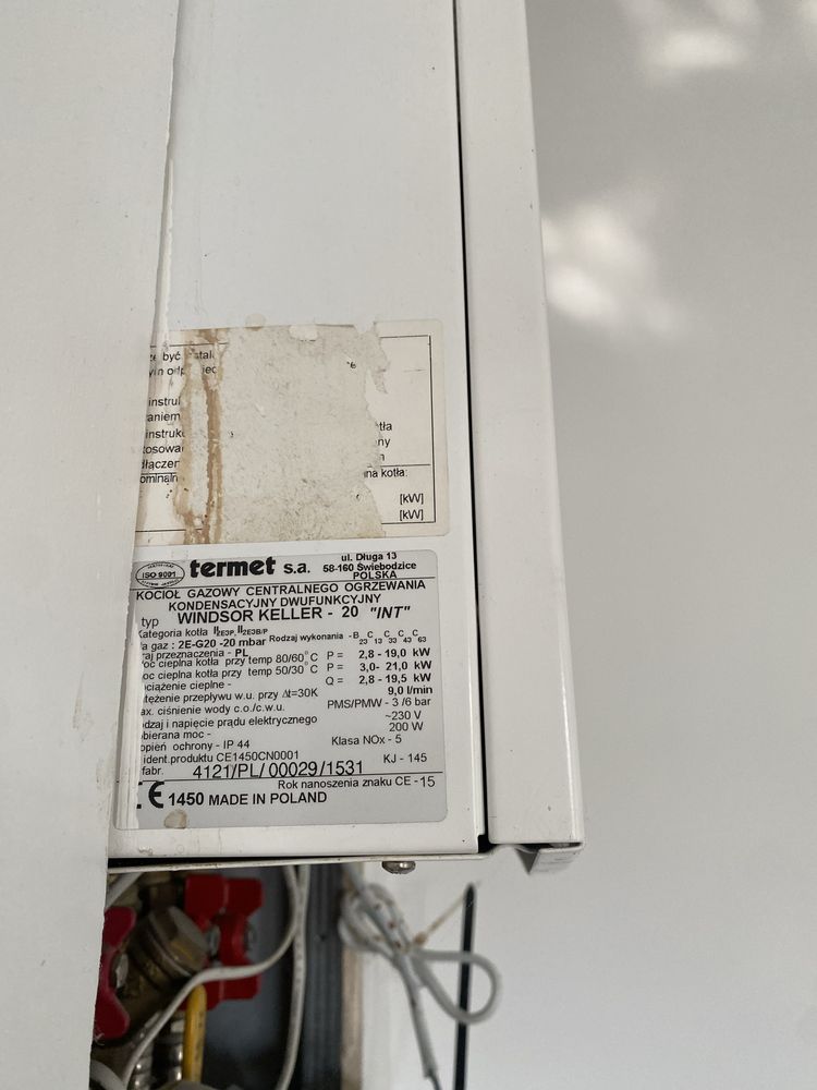 Termet Windsor keller 20