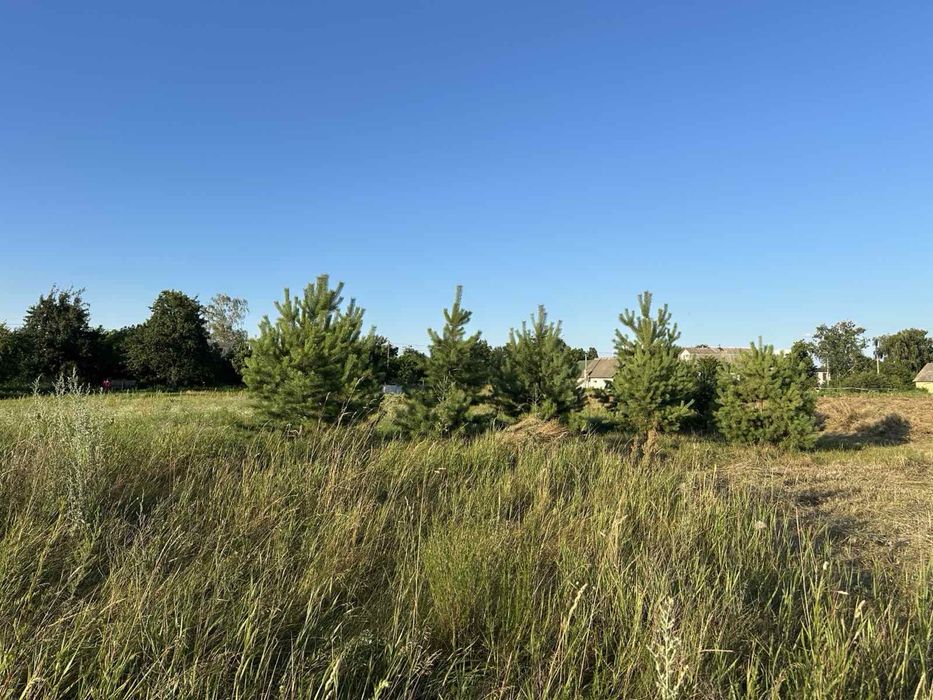 Продам земельну ділянку в с. Осиково