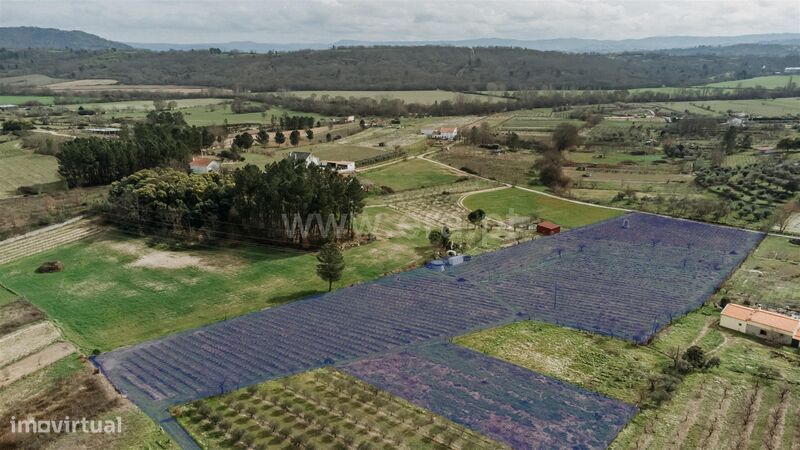 Terreno Rústico / Covilhã, Orjais