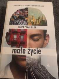 Małe życie - Hanya Yanagihara