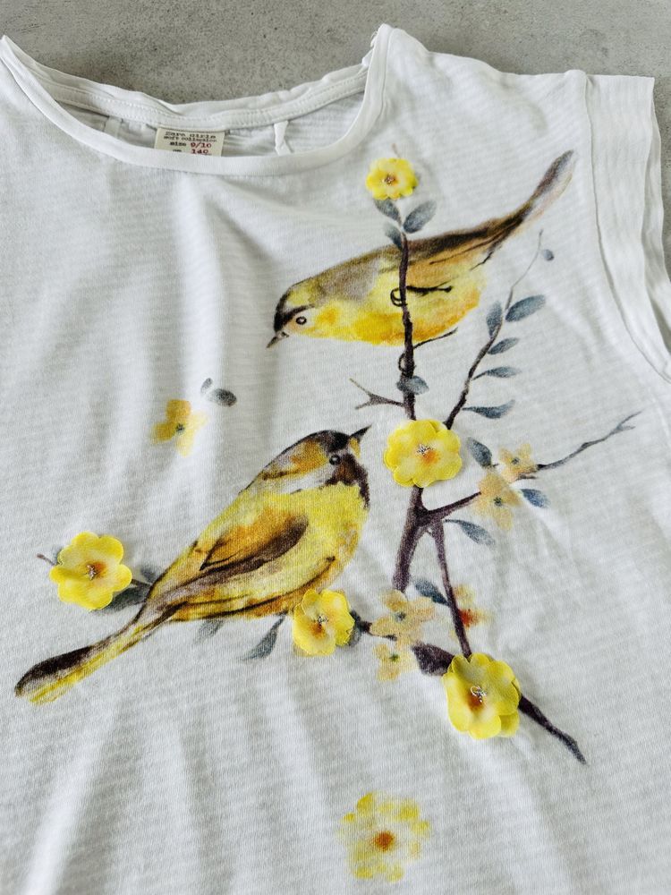 Zara T-Shirt dziewczęcy koszulka bawełna rozmiar 140 ptaszki
