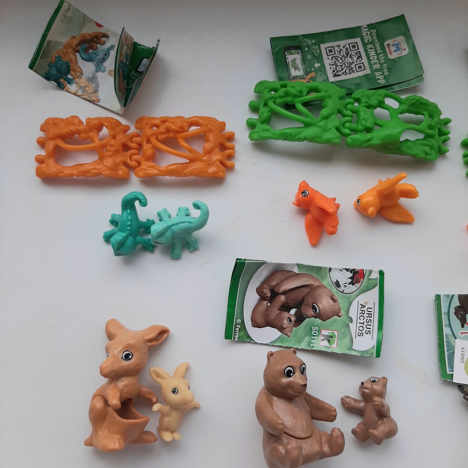 Кіндер kinder  тварини natuns панда черепашки рись ведмідь