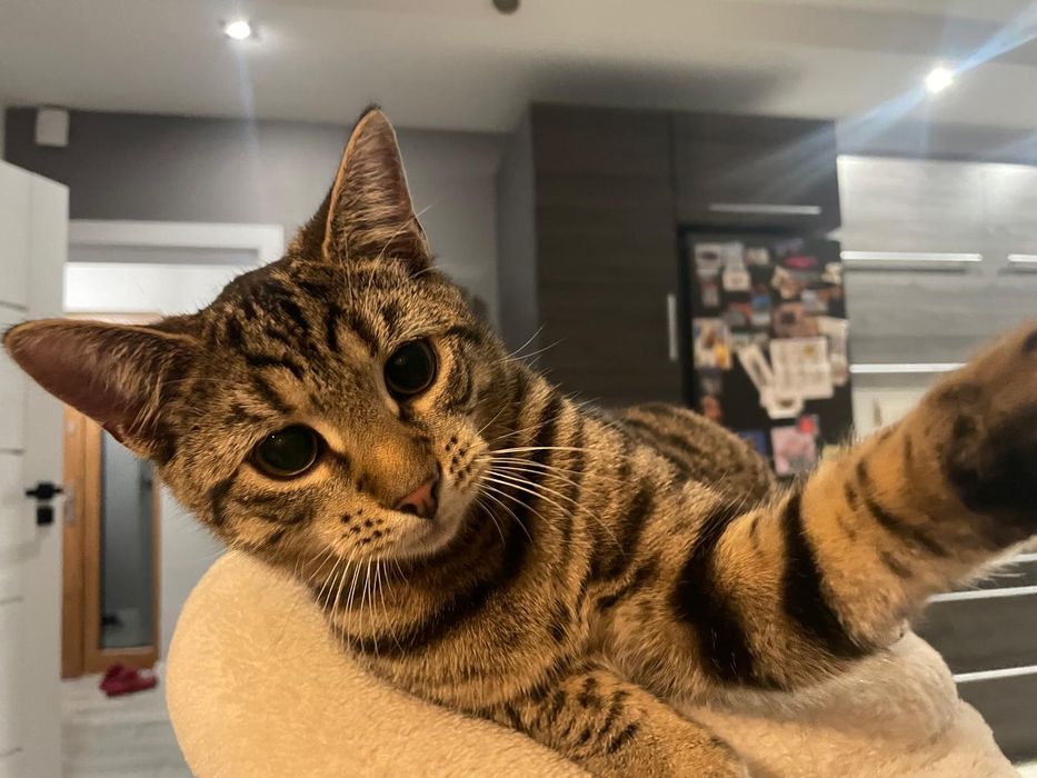 7 mieś.Riko wypatruje swojego człowieka