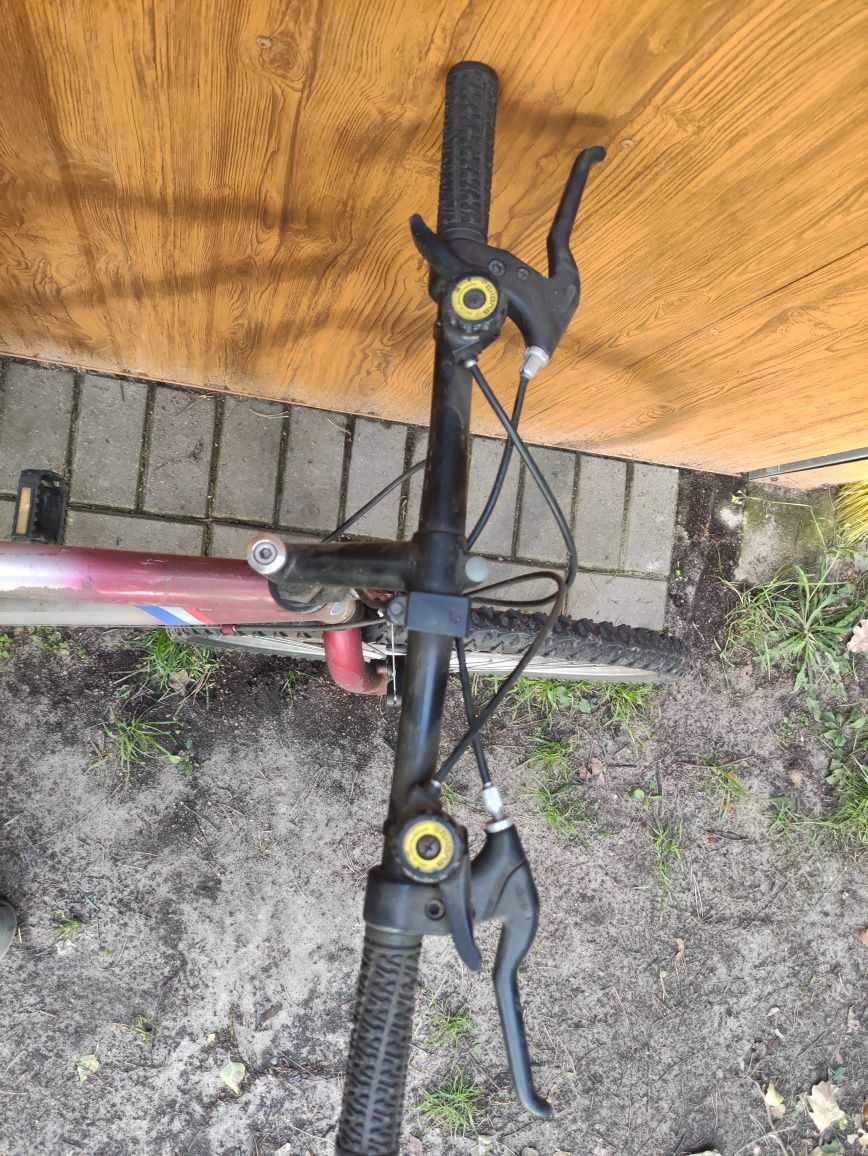 Rower Arctic 26''