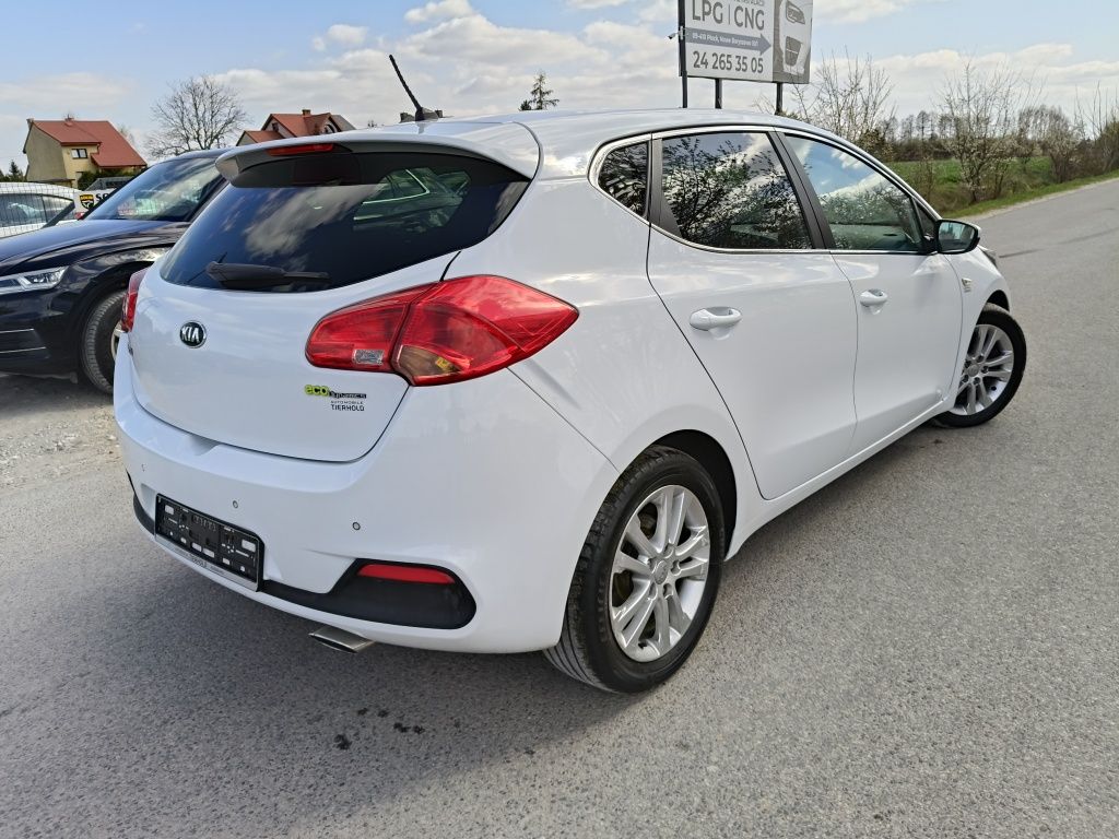 Kia cee'd 1.6 CRDi Dream Team *** 128KM *** Zadbana *** Niemcy