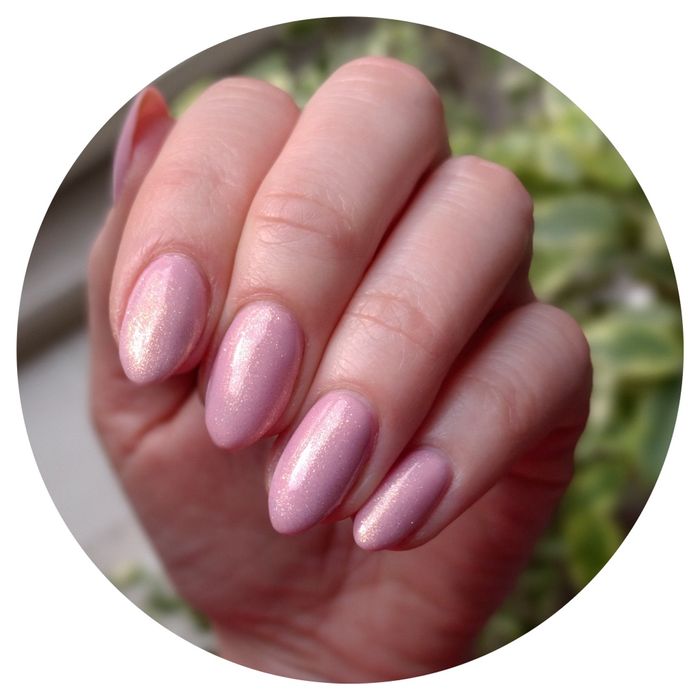 Manicure hybrydowy 80 zł