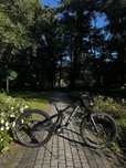 Trek session 2024 M