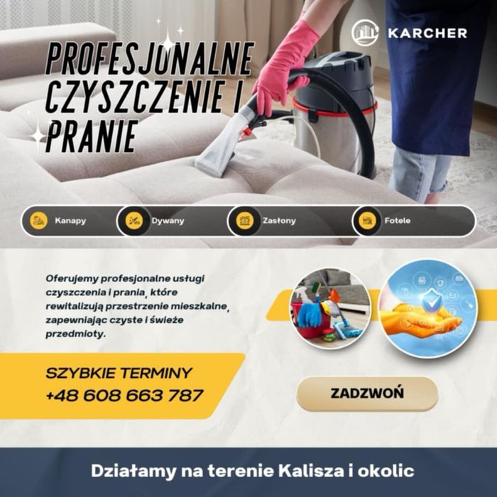 Profesjonalne czyszczenie mebli i dywanuw