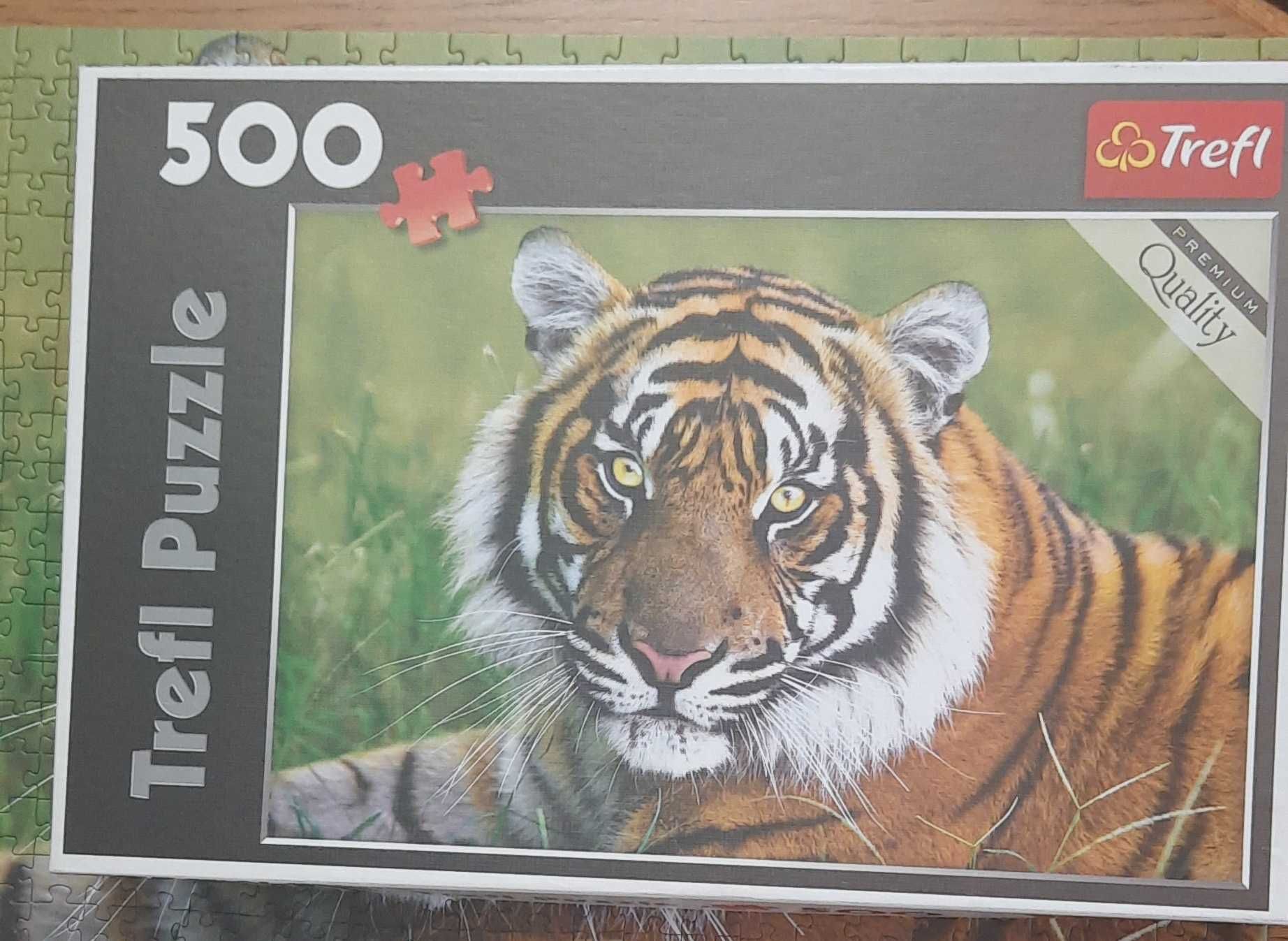 Puzzle Trefi premium 500 Tygrys.