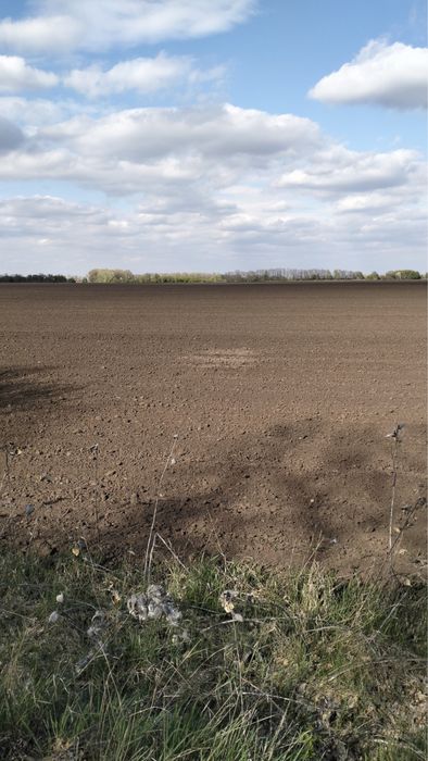 Ділянка 25га Обухівський р-н