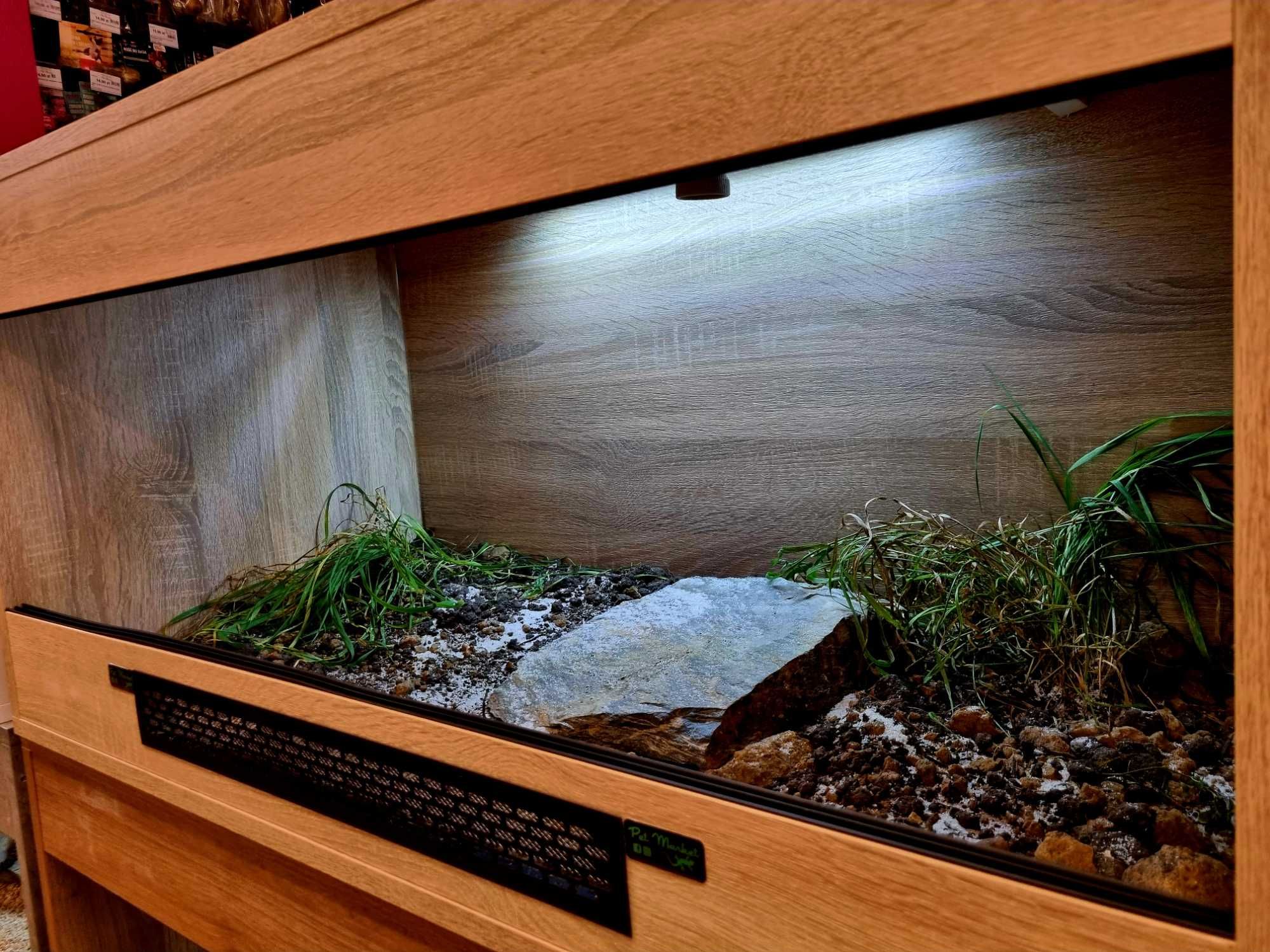 Terrarium 100x50x50 żółw grecki stepowy lądowy