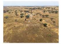 Terreno Rústico de 10,95 Hectares à Venda –Monte Juntos , Freguesia...