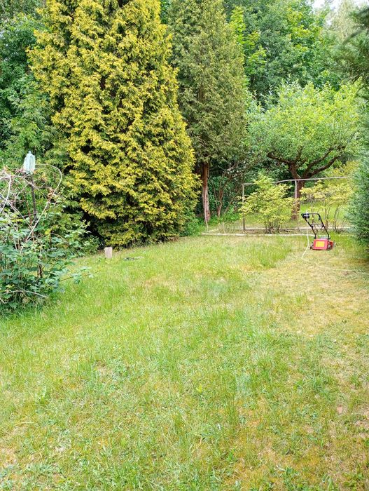 Działka ROD Maki w Justynowie