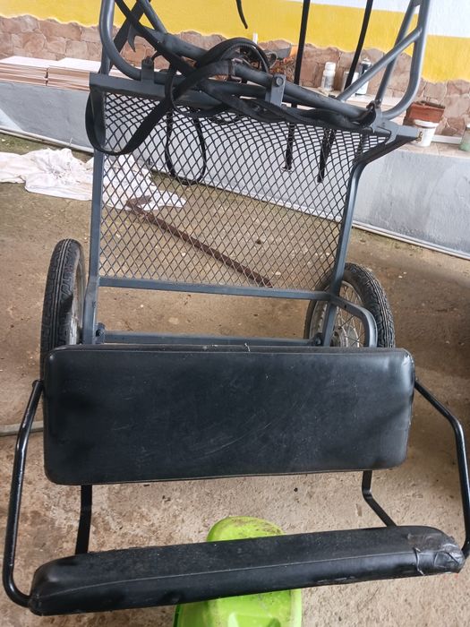 Vendo pónei fêmea com charrete