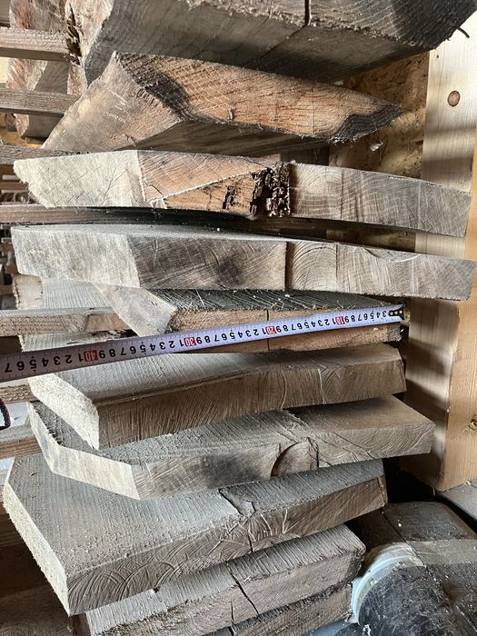 Foszty dąb bezszypułkowy