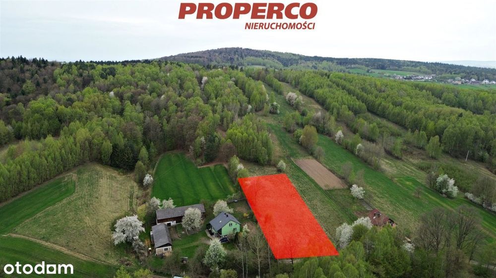 Działka 2953m2, Cierchy, gm. Mniów