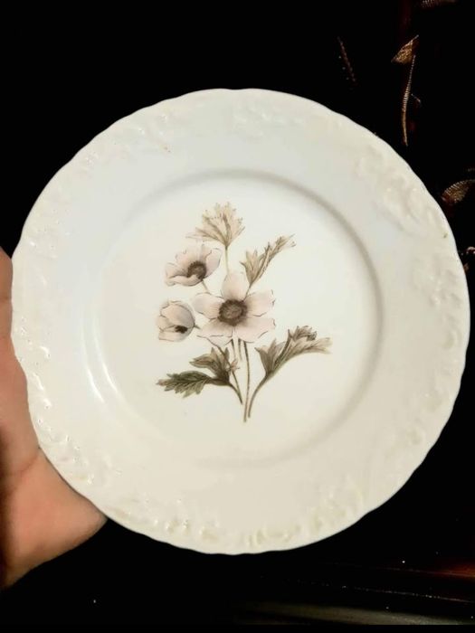 2 pratos spal com motivos florais
Para desocupar