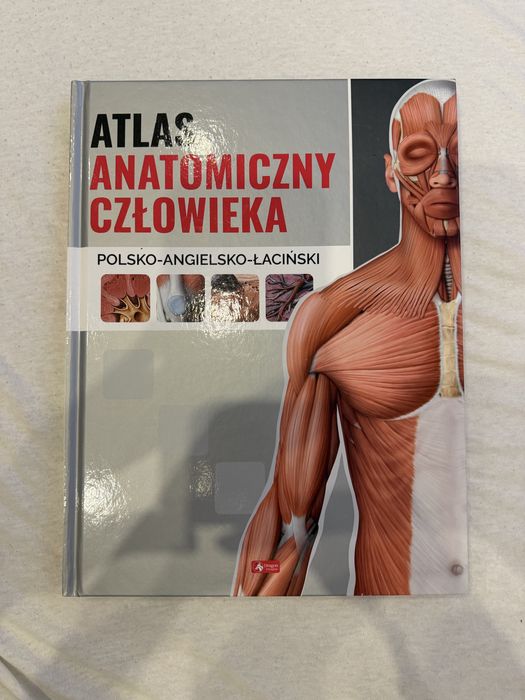 Atlas anatomiczny czlowieka