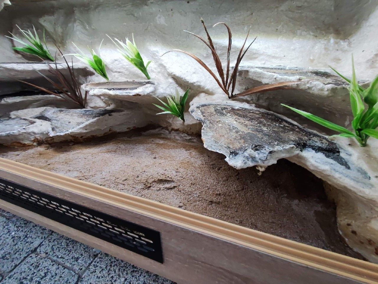 Terrarium z płyty meblowej gekon agama jaszczurka KOŚCIAN