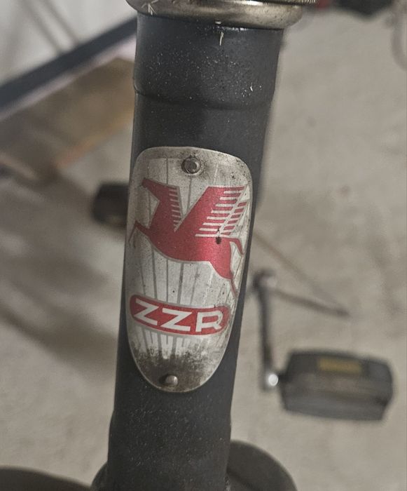 Rower ZZR Ambasador