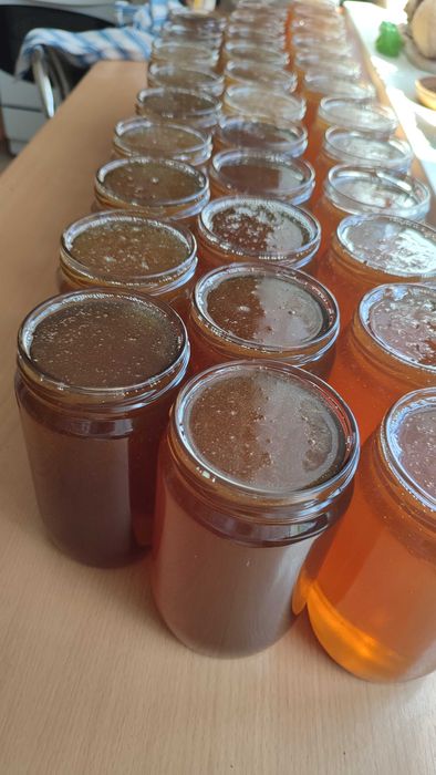 Miód wielokwiatowy, lipowy, leśny oraz rzepakowy z własnych pasiek