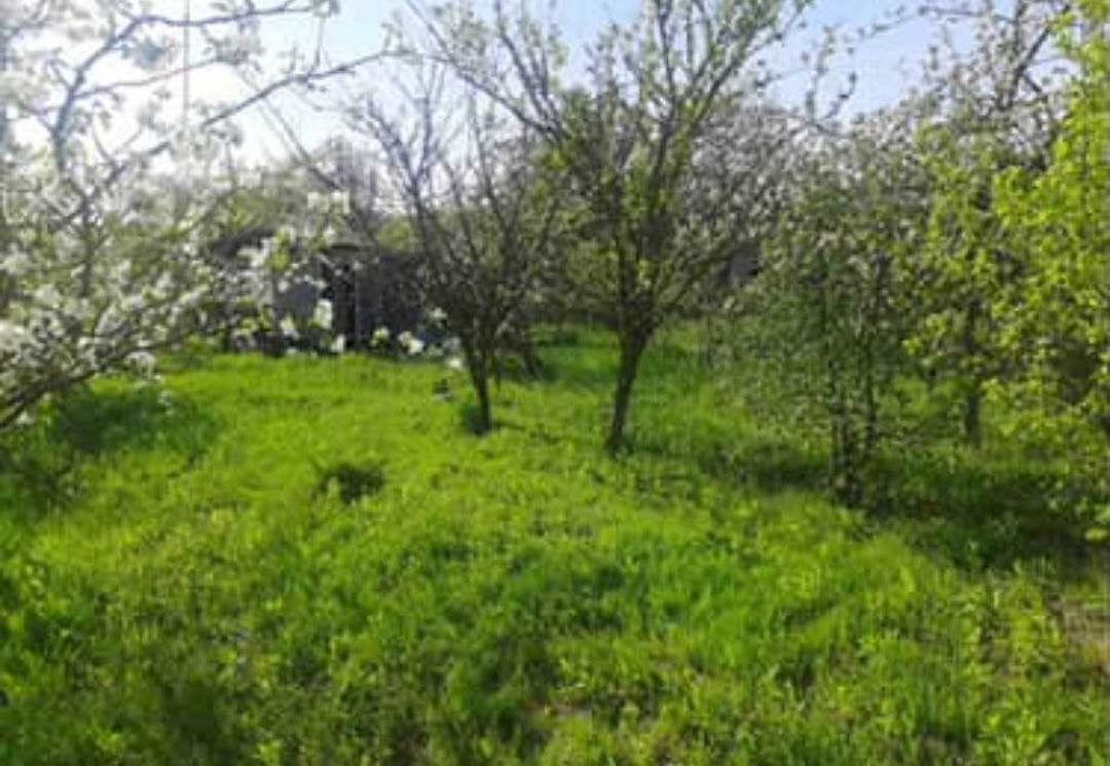Продається садовий будинок Сілець