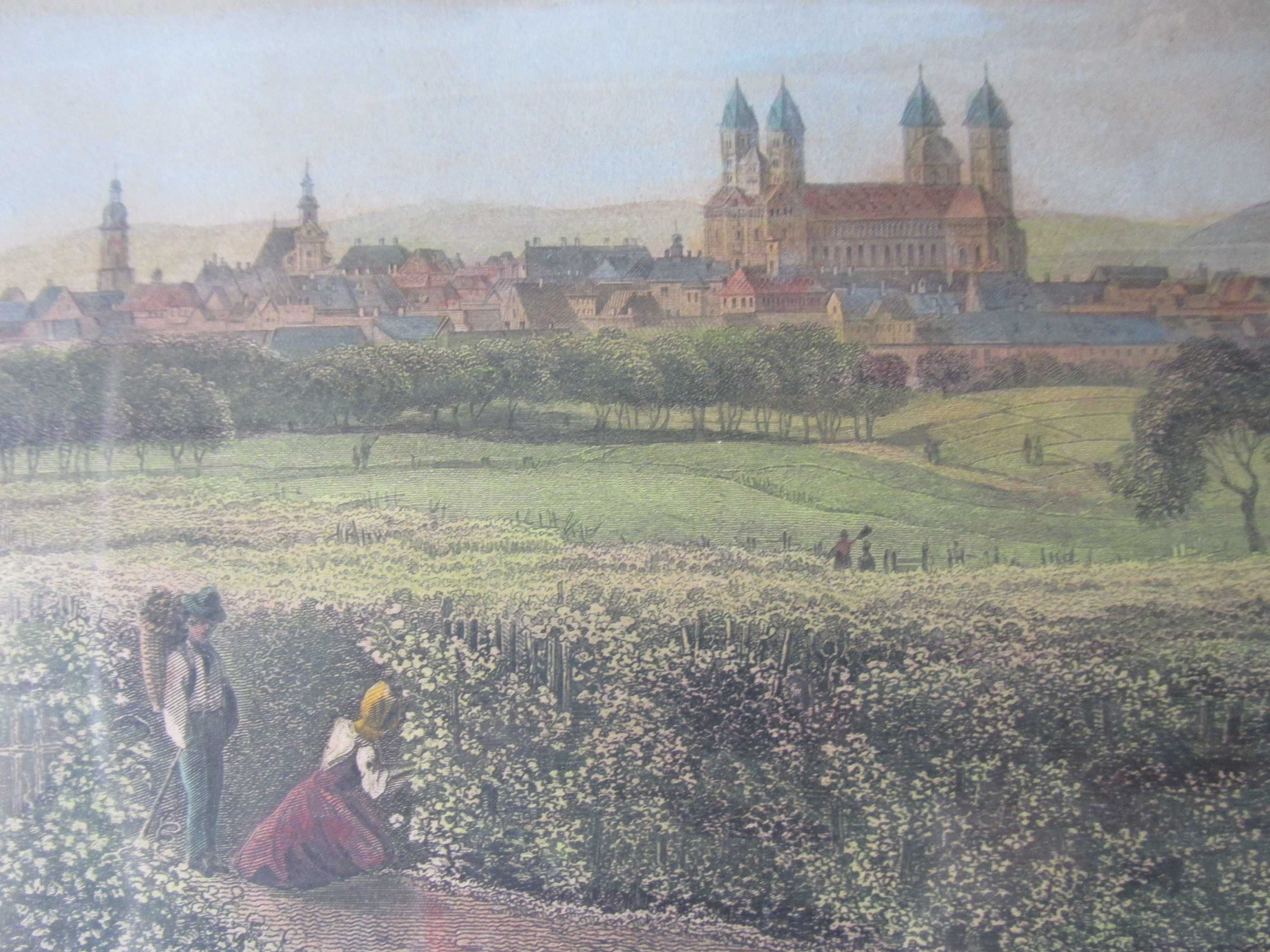 Stara kolorowa grafika Pejzaż miasta -Speyer-  1886  niemcy