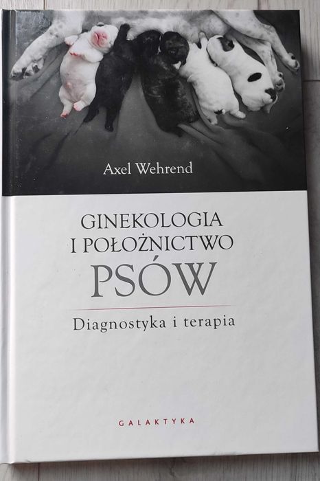 ginekologia i położnictwo psów