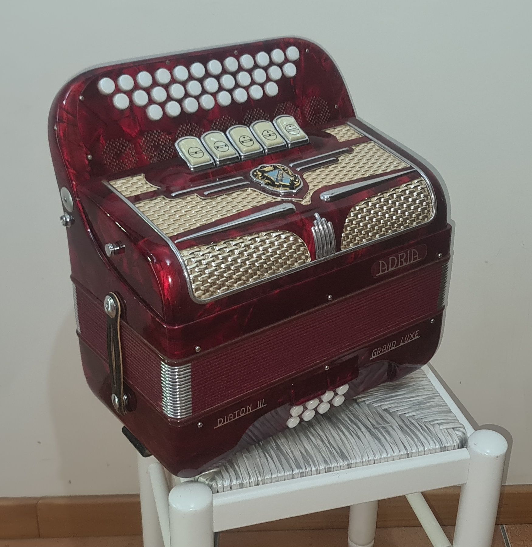 Concertina adria