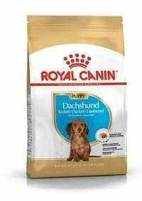 WYPRZEDAŻ Royal Canin Dachshund Puppy dla Szczeniąt Jamników 1,5kg